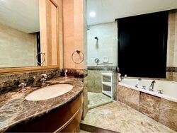 The Sterling (D21), Condominium #536322281